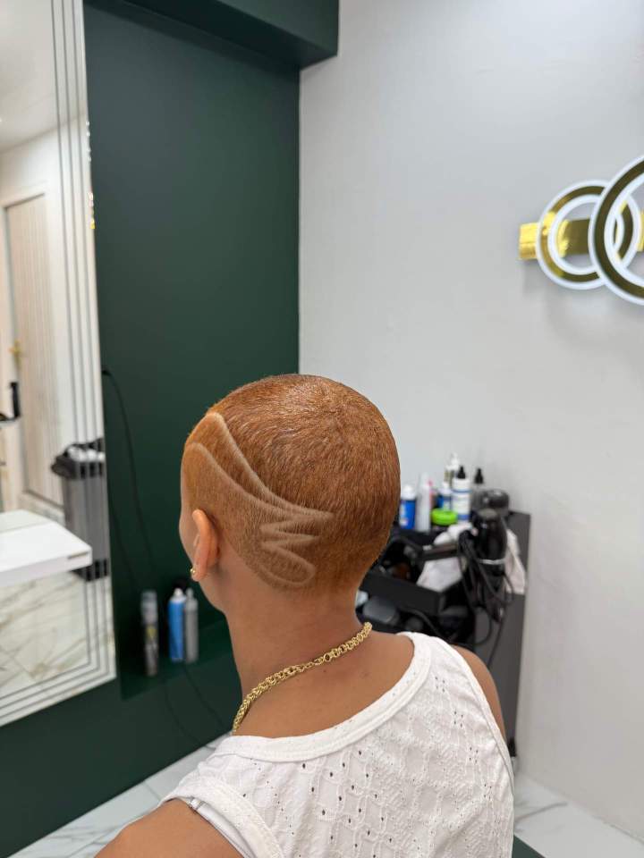 Techniques professionnelles de coloration et changement de look